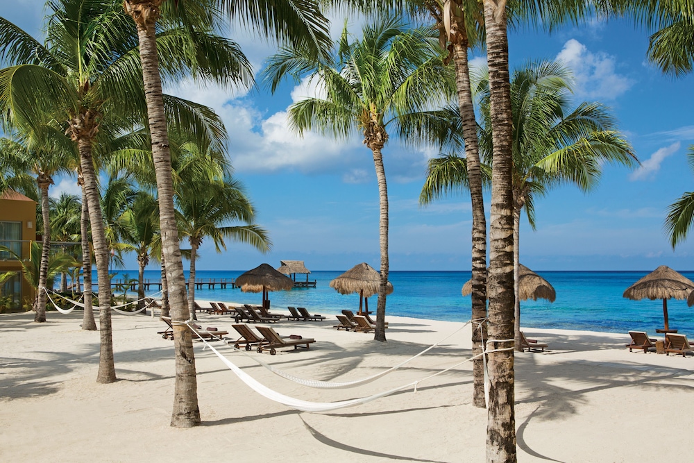 secrets aura cozumel adults only all inclusive