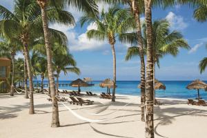 secrets aura cozumel adults only all inclusive