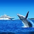 moreton island