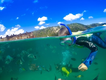 moreton island