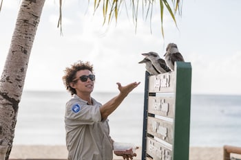 moreton island