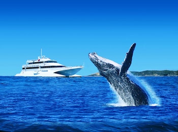 moreton island