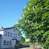 kappeln