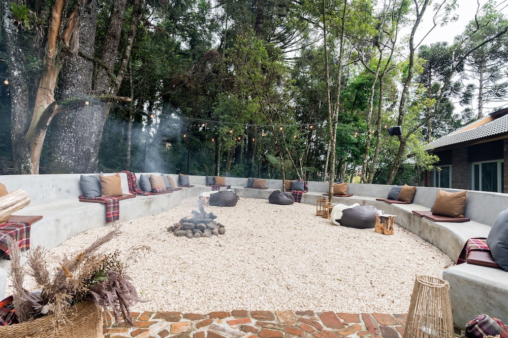 jangal das araucarias swan design hotel canela