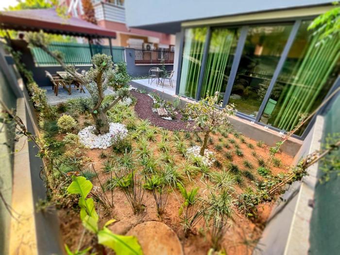 letstay sweet home mint