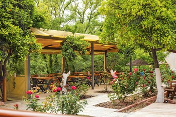 orange garden hotel akyaka