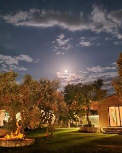 Bir Dem Urla,,0 star