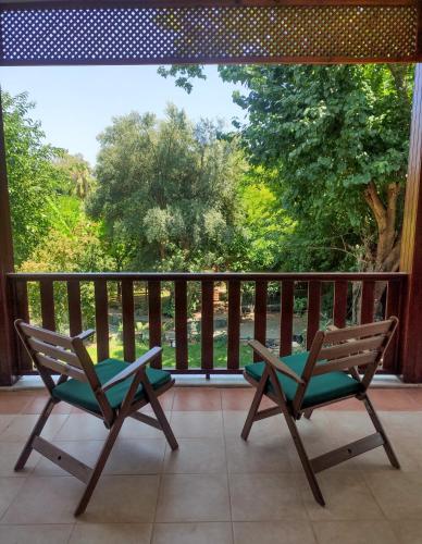 pinea hotel