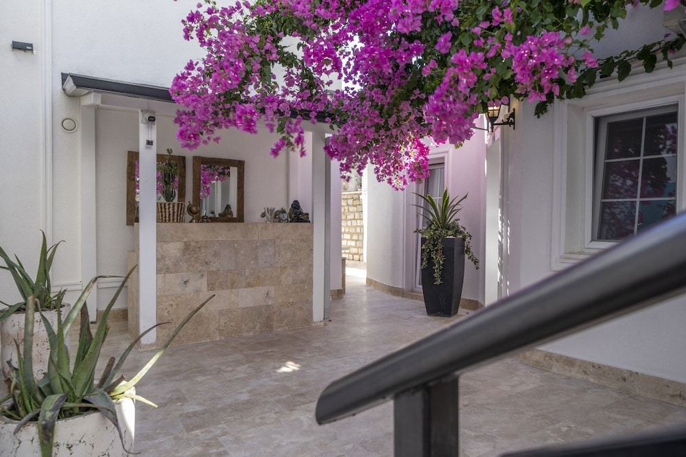noa suite hotel
