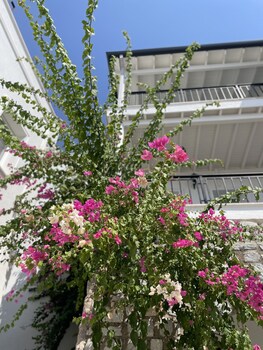 noa suite hotel