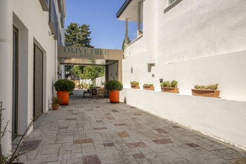 olive tree hotel