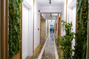 juglans suites