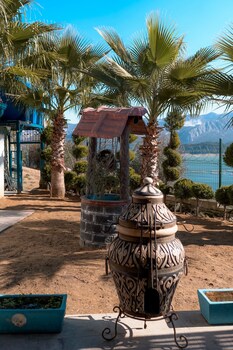 dolphin boutique hotel and restaurant