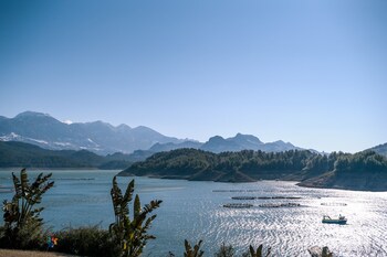 dolphin boutique hotel and restaurant