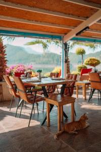 dolphin boutique hotel and restaurant