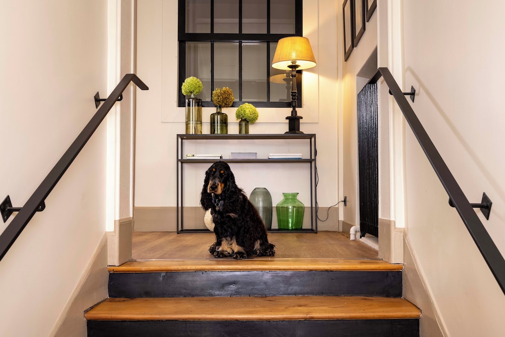 hotel le fer a cheval