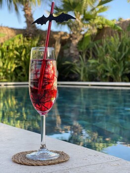 voger alacati silence