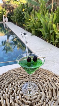 voger alacati silence