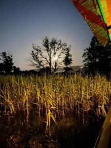 sapanca bamboolow resort