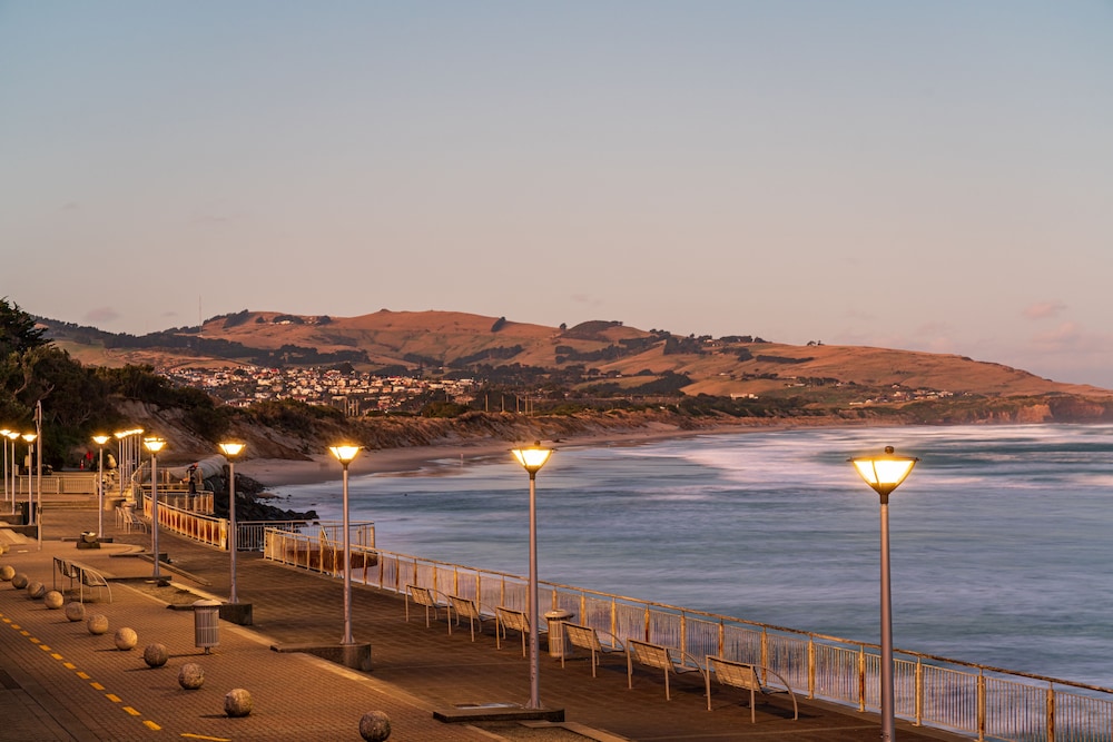 dunedin