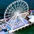 cozysuites at showboat