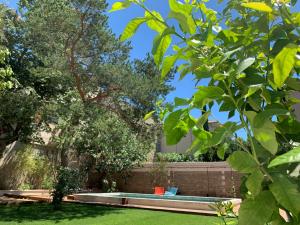 la maison de lolivier