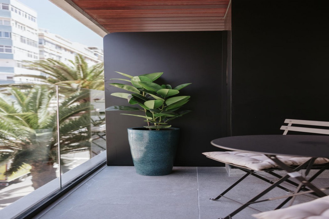 las palmas de gran canaria