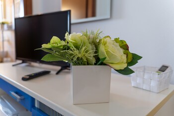 la meta sporting rooms