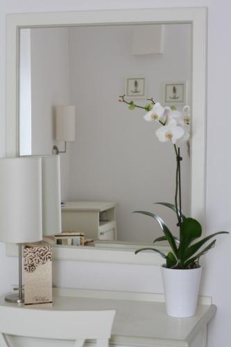 castel guelfo di bologna