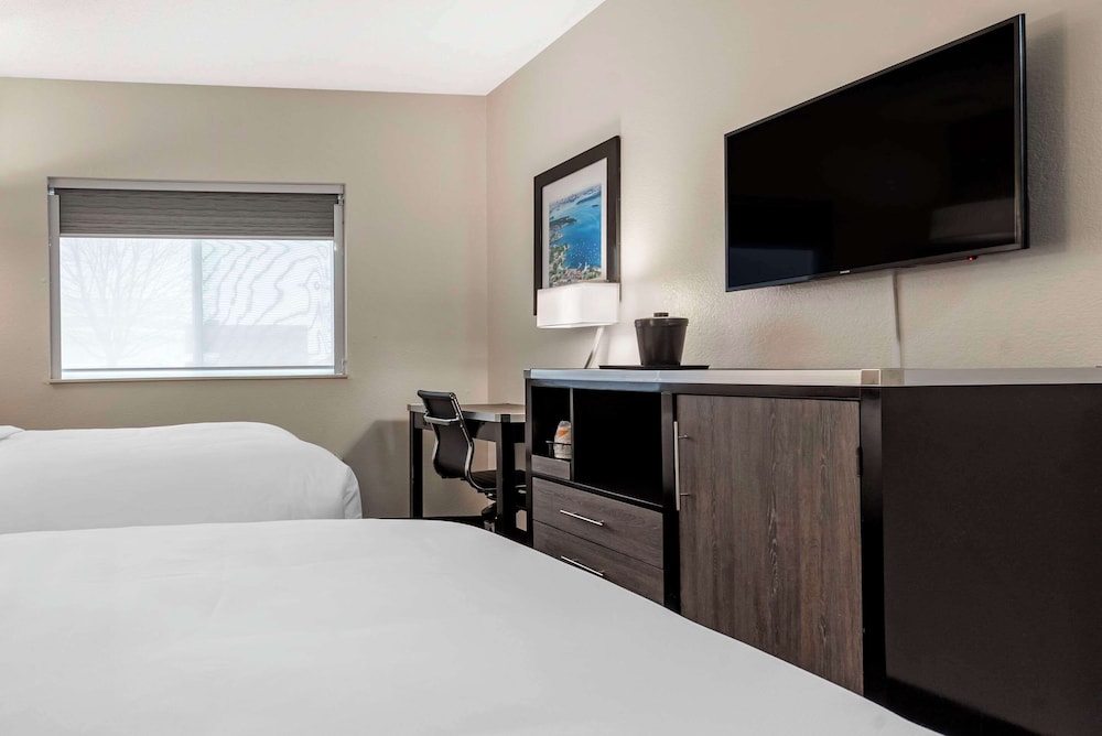 comfort inn and suites liverpool clay