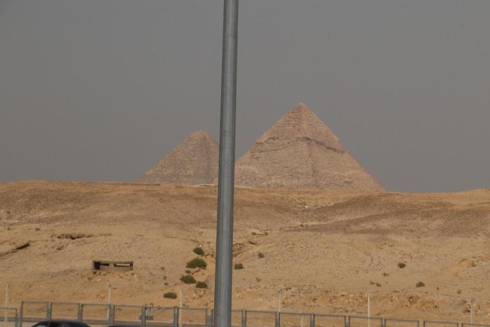 king tut hostel