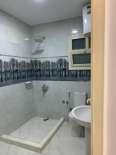 king tut hostel