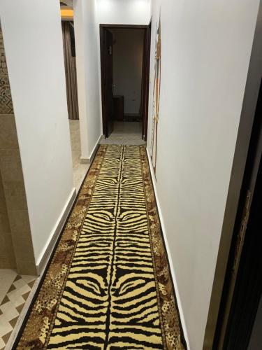 king tut hostel