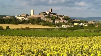 villelongue daude