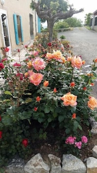 la vigneronne