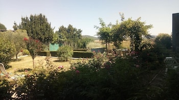 la vigneronne