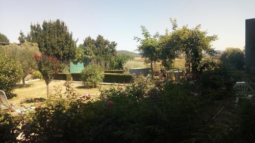 la vigneronne