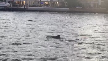 fort lauderdale