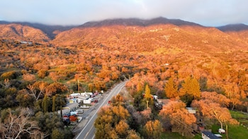 dunlap
