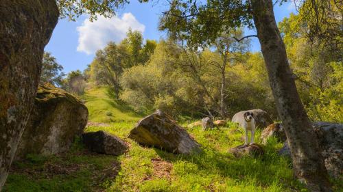 genas sierra inn and restaurant