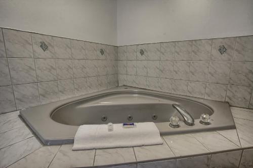 motel 6 windsor on