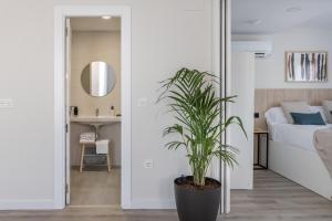 apartamentos libere granada catedral