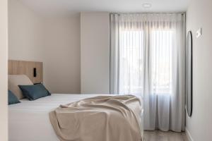apartamentos libere granada catedral