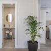 apartamentos libere granada catedral