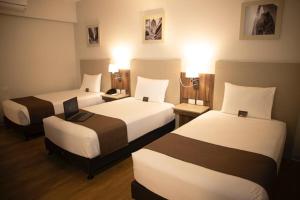 dm hoteles tacna