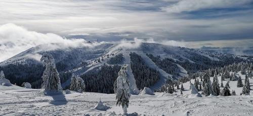 kopaonik