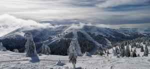 kopaonik