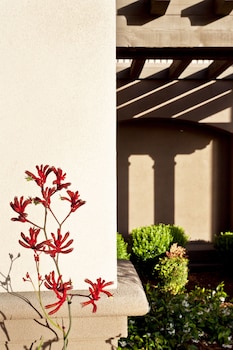 hampton inn and suites arroyo grande pismo beach area ca