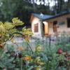 hutton cottage by stay native by grb