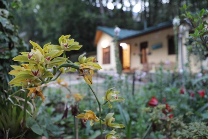 hutton cottage by stay native by grb